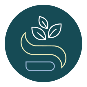 Cursos Online Instituto Savez